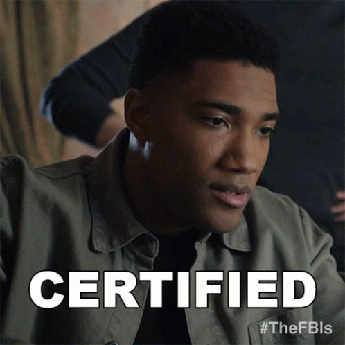 Certified Special Agent Andre Raines GIF