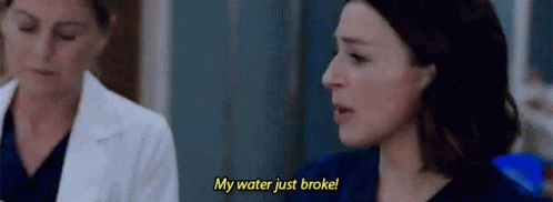 Greys Anatomy Amelia Shepherd GIF - Greys Anatomy Amelia Shepherd My Water Just Broke GIFs
