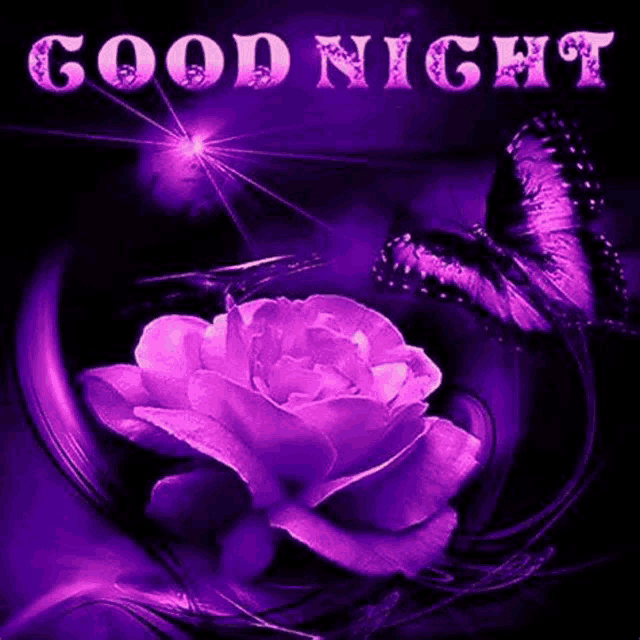 a purple rose with a butterfly on a black background and the words `` good night '' .