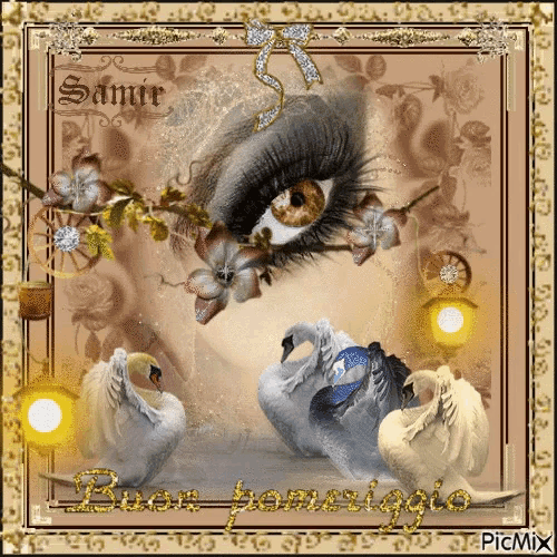 a picture of swans and a woman 's eye with the words buon pomeriggio at the bottom