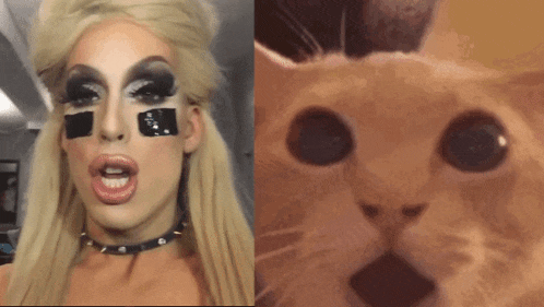 a close up of a woman 's face next to a cat 's face