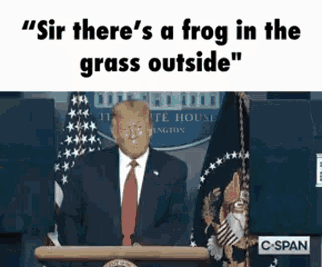 donald trump is giving a speech at a podium with a frog in his mouth .