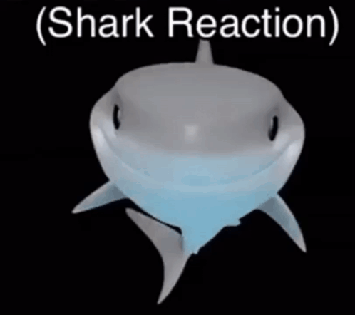 Shark Reaction GIF - Shark Reaction GIFs