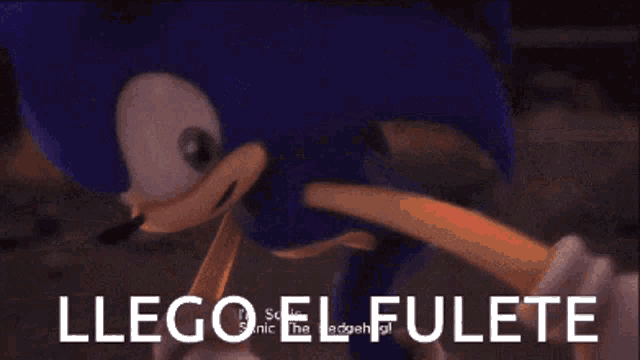 a picture of sonic the hedgehog giving the middle finger and the words llegoel fulete below him