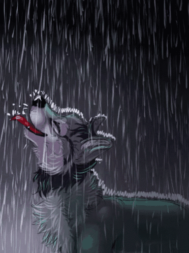a drawing of a wolf in the rain