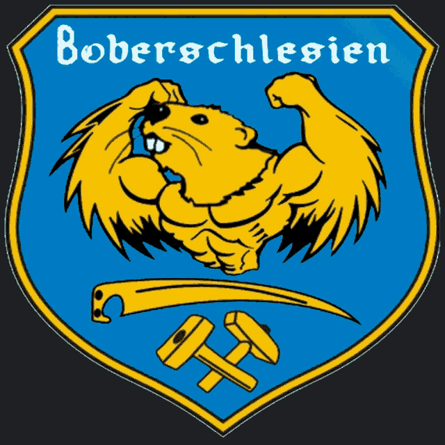 a coat of arms for boberschlesien shows a beaver flexing his muscles