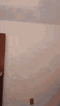 a girl with pigtails is standing in front of a door .
