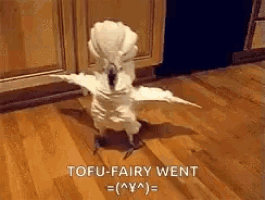 a white parrot is standing on a wooden floor with its wings outstretched and tofu-fairy went written on the bottom