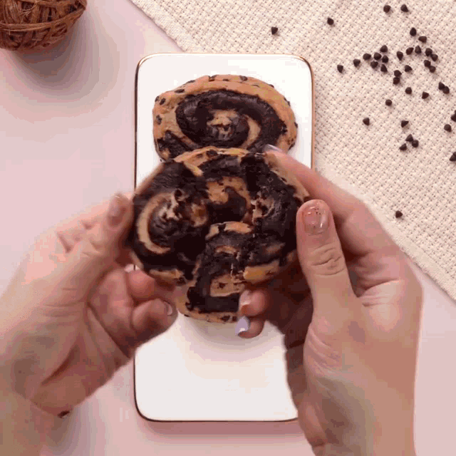 a person is holding a chocolate cookie in their hand