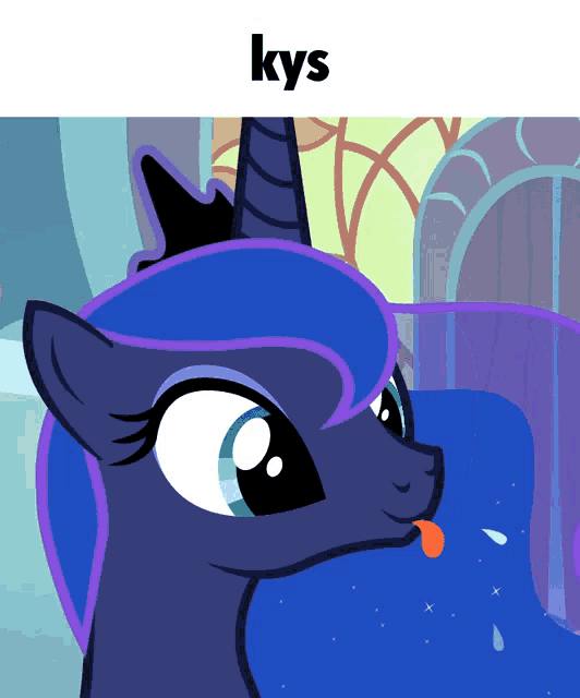 a picture of a cartoon pony with the word kys above it