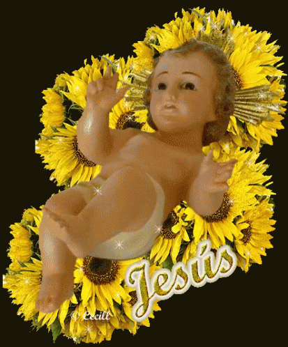 El Niño Dios En Pesebre De Flores GIF - Nino Dios Pesebre Jesus GIFs