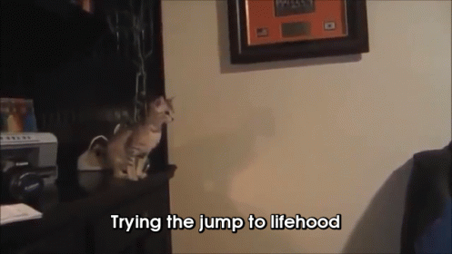 Trying To Jump To The Other Side Labeled "Life"   GIF - Cat Cute Jump GIFs