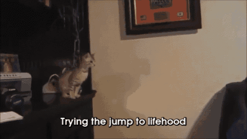 a cat is trying to jump to lifehood while sitting on a desk