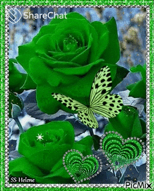 a picture of green roses and butterflies with the words sharechat at the bottom