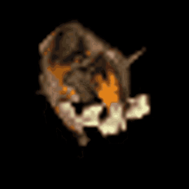 a computer generated image of a tiger 's head with a black background .