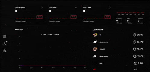 a screenshot of a dashboard showing the total accounts total visits total clicks and leaderboard