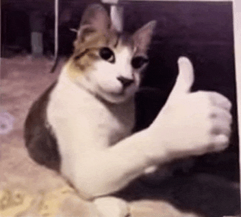 a cat is giving a thumbs up sign while sitting on the floor .
