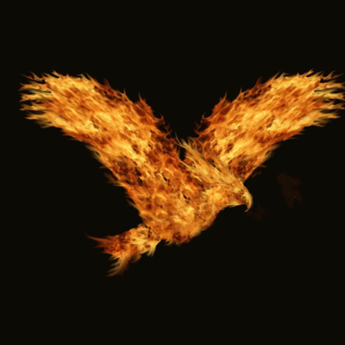 Flying Phoenix GIF - Flying Phoenix Flame Phoenix GIFs