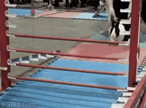 a picture of a boxing ring with the website 4gifs.com written on the bottom