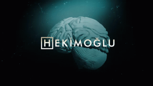 Hekimoğlu Hekimoglu GIF - Hekimoğlu Hekimoglu House GIFs