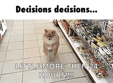 a pomeranian dog is walking down the floor of a grocery store .
