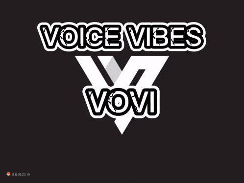 a black background with the words voice vibes written on it