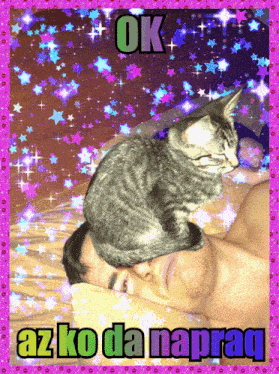 a cat is laying on a man 's head with the words ok az ko da napraq above it