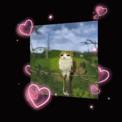 a picture of a cat on a branch with hearts around it