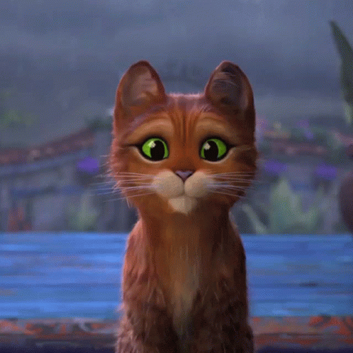 Shocked Face Puss In Boots GIF - Shocked Face Puss In Boots Puss In Boots The Last Wish GIFs
