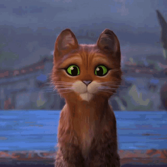 a close up of a cat with green eyes