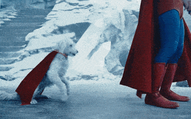 a dog wearing a red cape is standing next to a man in a superman costume