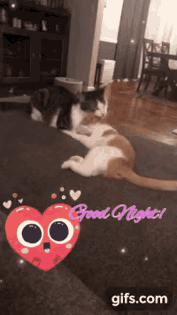 two cats are laying on a couch with the words good night written on the bottom