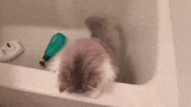 a cat is laying in a bathtub next to a dove soap bottle