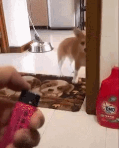 a bottle of omo laundry detergent sits on the floor
