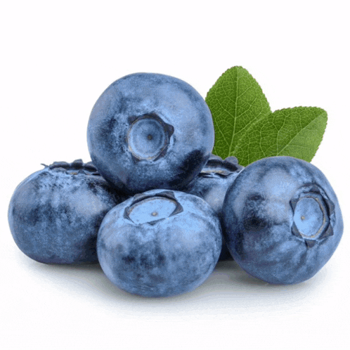 a bunch of blueberries with leaves on them on a white background