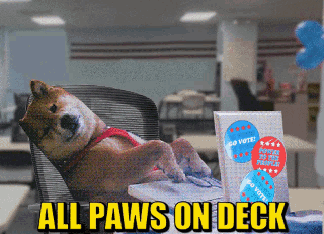 All Paws On Deck Dog Laptop Meme GIF - All Paws On Deck Dog Laptop Meme Dog On Laptop GIFs