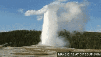 a geyser is erupting in a field with trees in the background