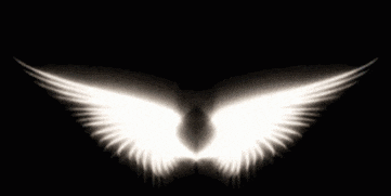 a pair of white angel wings are glowing on a black background .