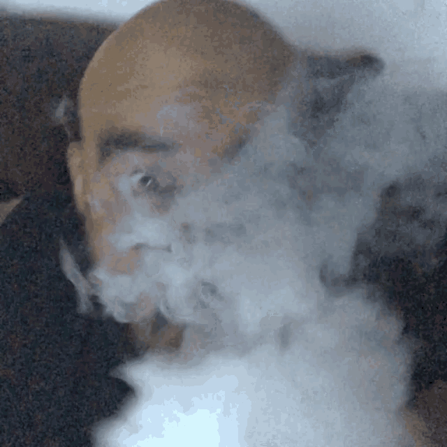 Leo123 Leo1234 GIF