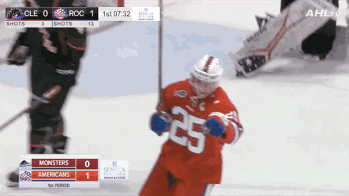 a hockey player wearing a red jersey with the number 25 on it
