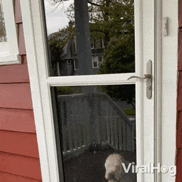 Excited Dog Bounces At The Door Viralhog GIF - Excited Dog Bounces At The Door Dog Viralhog GIFs