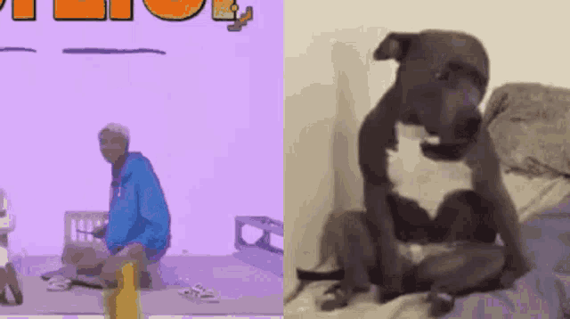 a man sitting on a bed next to a dog sitting on a bed .