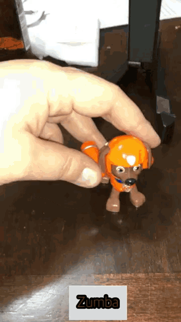 a person is holding a toy with the name zumba on it