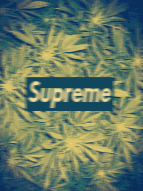 a blurry picture of marijuana leaves with the word supreme in the middle