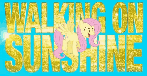 a picture of a pony with the words walking on sunshine on it