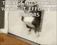 a cat is jumping through a door with the words `` there 's no success without effort or errors '' written on it .