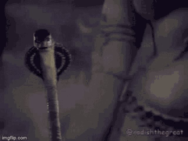 Snek Radishthegreat GIF - Snek Radishthegreat Snake Dance GIFs