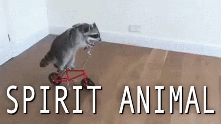 Spirit Animal GIF - Spirit Animal Racoon Bike Ride GIFs