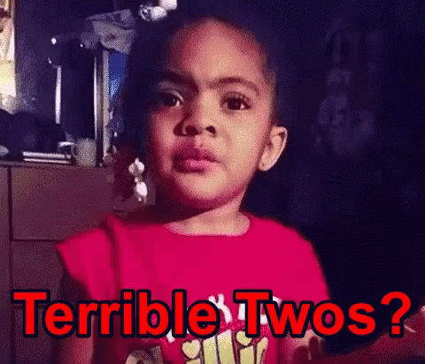 Terrible Twos What Did I Do GIF - Terrible Twos What Did I Do What I Do GIFs