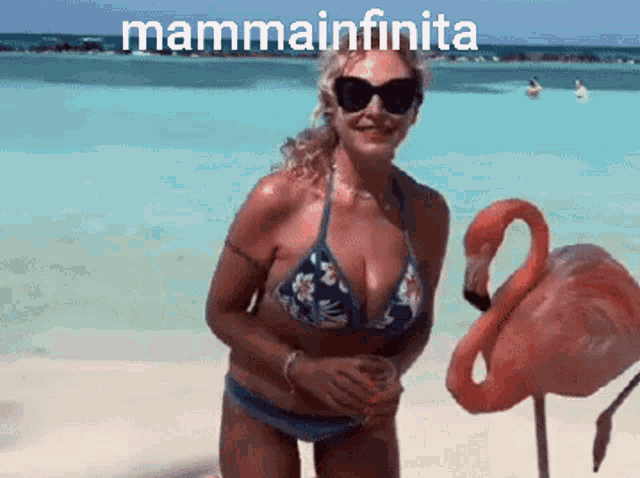 a woman in a bikini is standing next to a flamingo on a beach and the words mammainfinita are above her